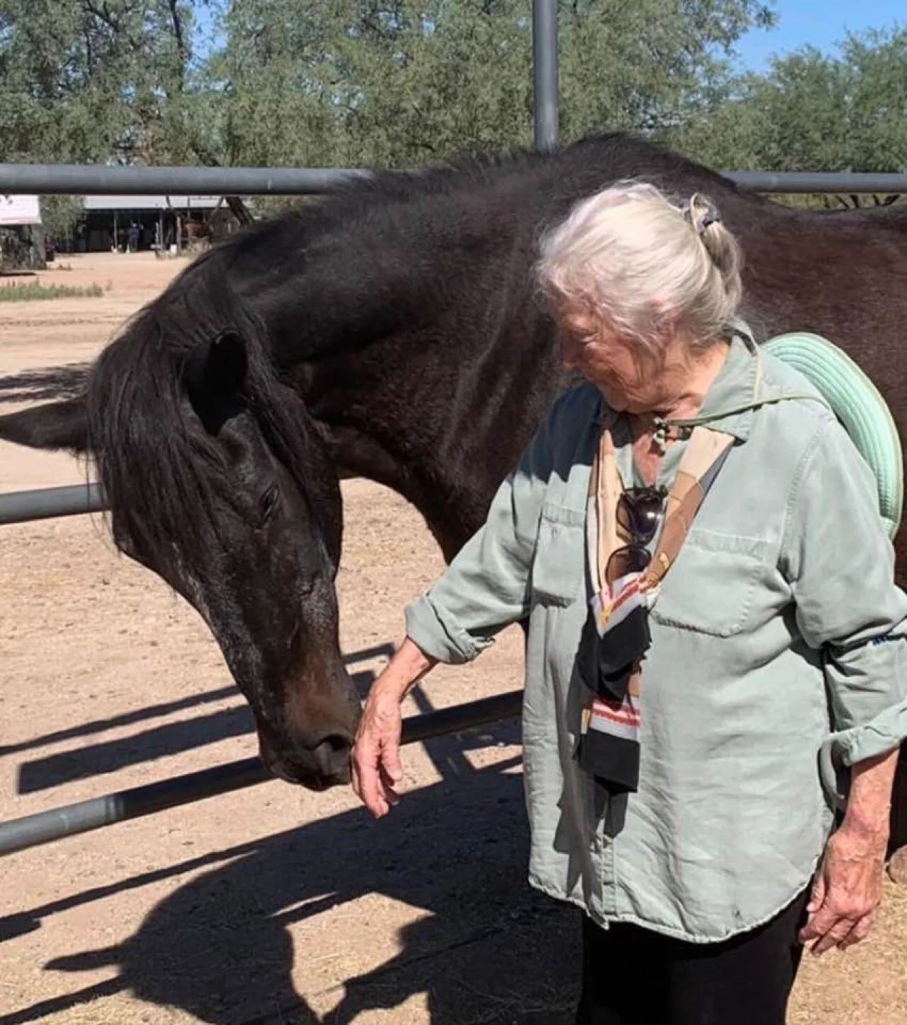 Barbara K. Rector, Adventures in Awareness™, Arizona