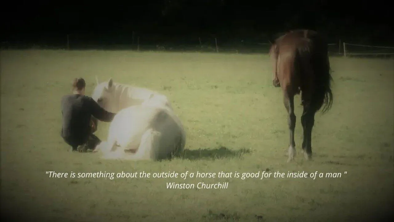 Linda Uttley & Team Horse