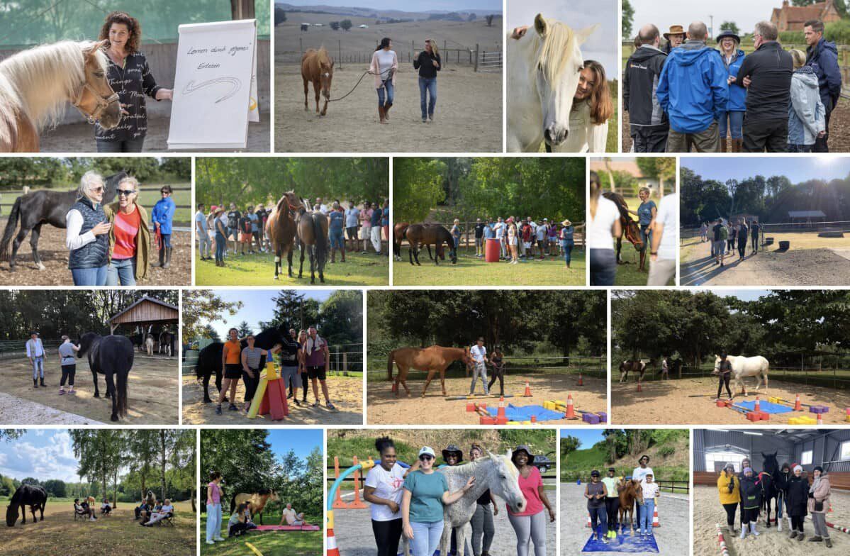 EAHAE pictures of leadership coaching and team development