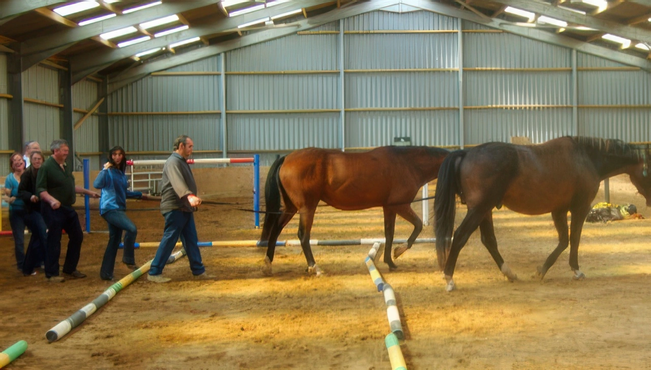 Lee Watson Hall, Scotland, UK